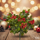 EDG Enzo De Gasperi | Cespuglio di lentisco con bacche Natale 2025