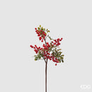 EDG EnzoDe Gasperi | Ramo Natalizio sinforicarpo Natale 2025