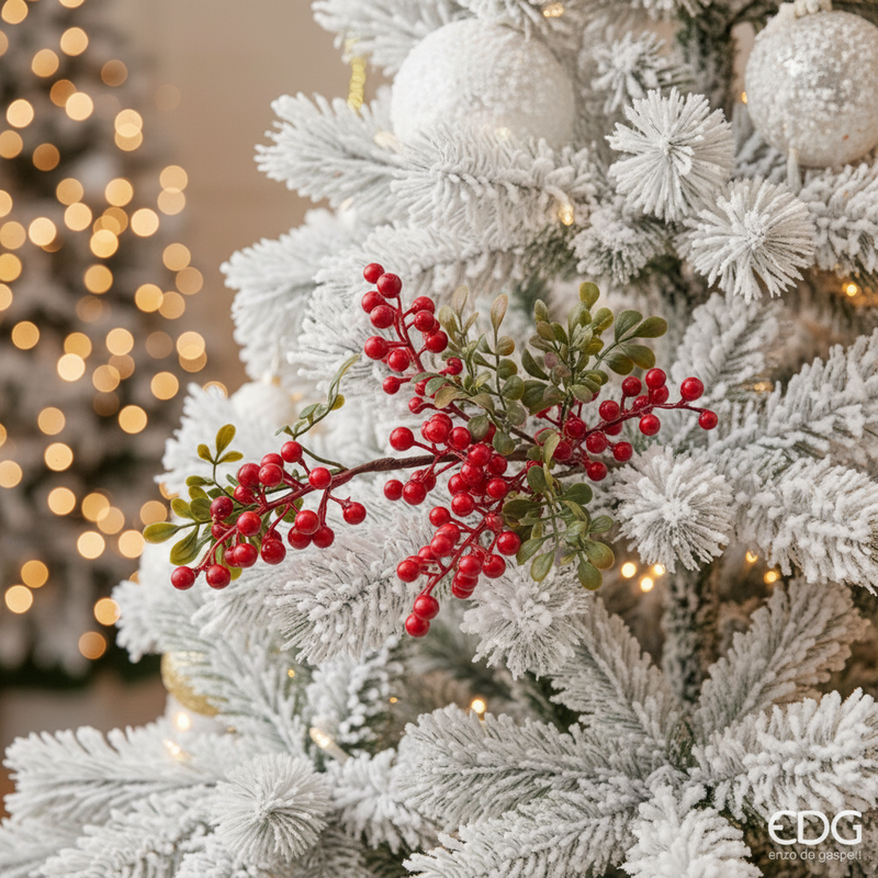 EDG EnzoDe Gasperi | Ramo Natalizio sinforicarpo Natale 2025