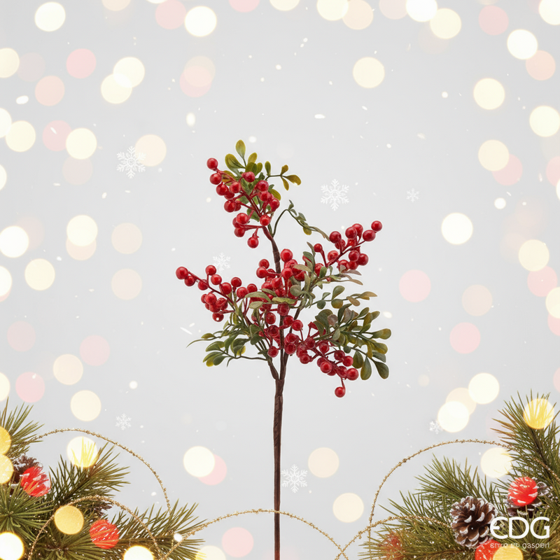 EDG EnzoDe Gasperi | Ramo Natalizio sinforicarpo Natale 2025