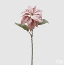 EDG Enzo De Gasperi | Stella di Natale in velluto Natale 2025