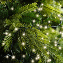 Kaemingk | Festone di Luci Twinkle 750 Led - Luce Bianca Calda per esterni
