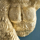 Werner Voß | Lampada a parete Jungle Jack, Gold