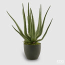 Pianta Artificiale Aloe Chic EDG Enzo De Gasperi