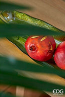 EDG Enzo De Gasperi Frutta e Verdura Artificiale