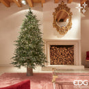 EDG Enzo De Gasperi | Albero di Natale Pino Spark con Led H 210 cm