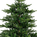 Kaemingk | Albero di Natale Grandis Fir - H. 180 cm