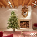 EDG Enzo De Gasperi | Albero di Natale Pino Luxury con 5000 Led H 240 cm