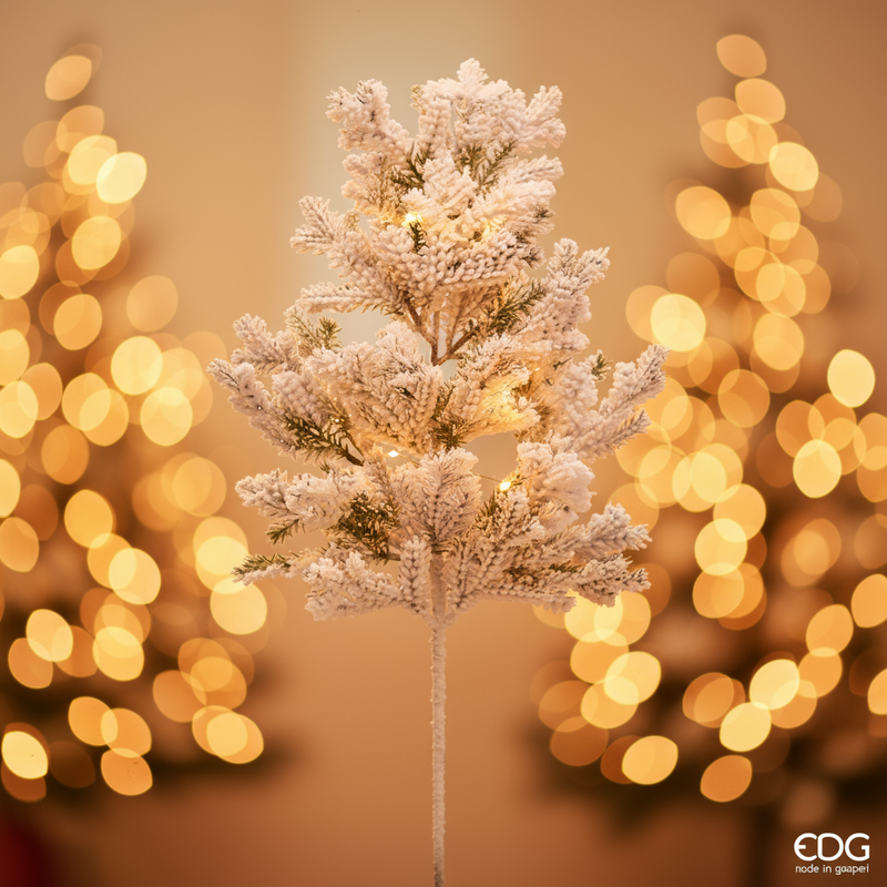 EDG Enzo De Gasperi | Ramo di pino superneve Natale 2025