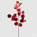 EDG Enzo De Gasperi  Eucalipto in Velluto con Ramo -