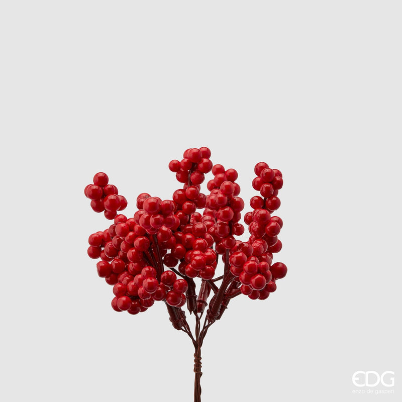 Ilex Cespuglio  - EDG