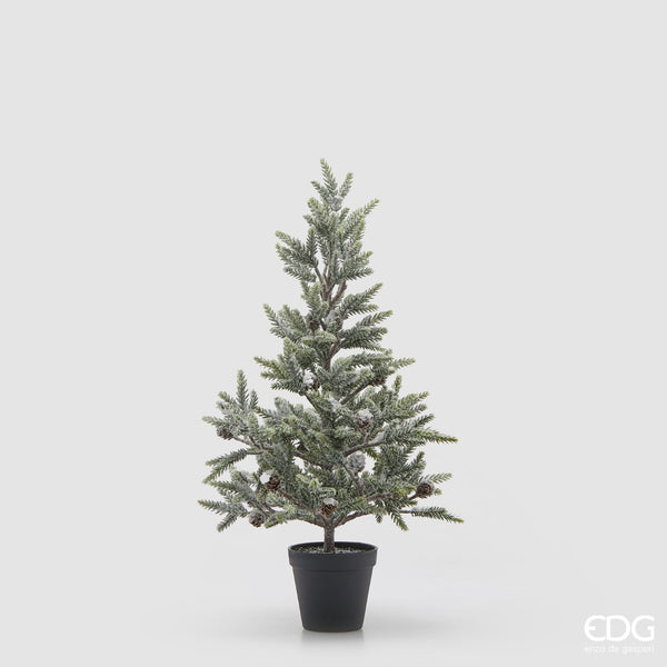 EDG Enzo De Gasperi | Pino innevato con vaso Natale 2025