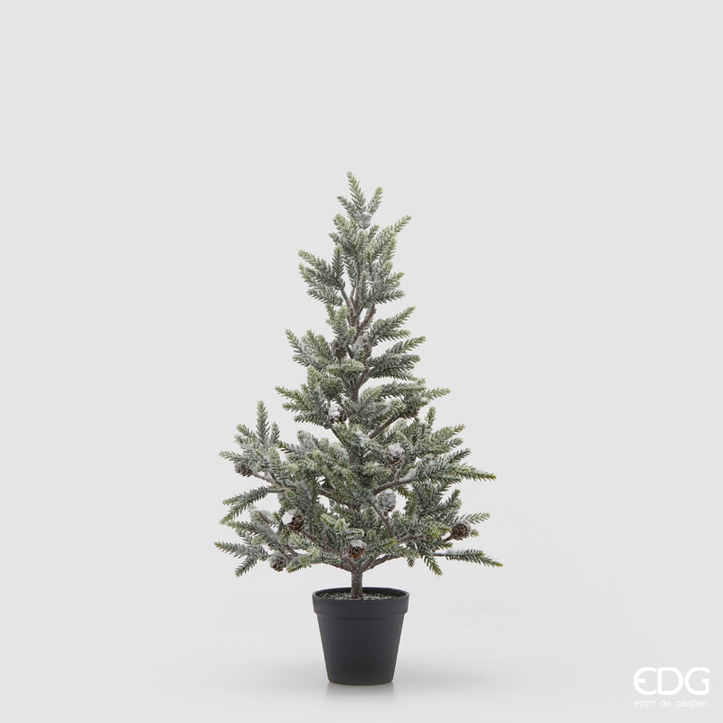 EDG Enzo De Gasperi | Pino innevato con vaso Natale 2025