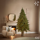 EDG Enzo De Gasperi | Albero di Natale Pino New Imperial con 5300 LED Multieffetto Dimmerabile H 240 cm Ø 150 cm
