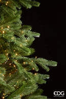 EDG Enzo De Gasperi | Albero di Natale Pino New Imperial con 5300 LED Multieffetto Dimmerabile H 240 cm Ø 150 cm