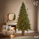 EDG Enzo De Gasperi | Albero di Natale Pino New Imperial con 5300 LED Multieffetto Dimmerabile H 240 cm Ø 150 cm
