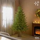 EDG Enzo De Gasperi | Albero di Natale Pino Lucciole con 3100 LED H 210 cm
