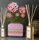 Profumatore aurora esposto con fragranza