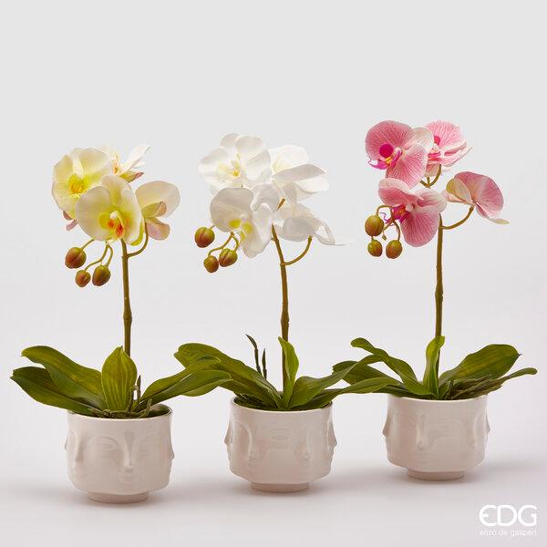 Pianta Artificiale Orchidea EDG Enzo De Gasperi
