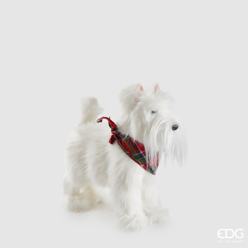 EDG Enzo De Gasperi | Cane Shih Tzu decorativo Natale 2025