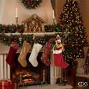 EDG Enzo De Gasperi | Calza cane LED con musica e movimento Natale 2025