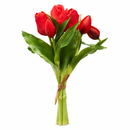 EDG Enzo De Gasperi | Set 5 pz. Tulipano Olis mazzolino - 8 Colori