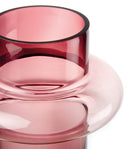 Vaso in Vetro Fumè L'Oca Nera