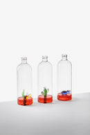 Bottiglia Cactus in Vetro Borosilicato Desert Plant Ichendorf Milano