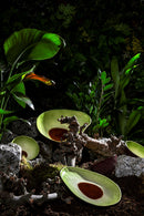 Bordallo - Pinheiro Avocado Piatto dessert in ceramica
