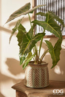 Vaso Cahepot Spiga ceramica Waterproof EDG Enzo De Gasperi