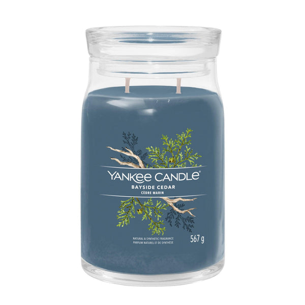 Candela Profumata Bayside Cedar Yankee Candle