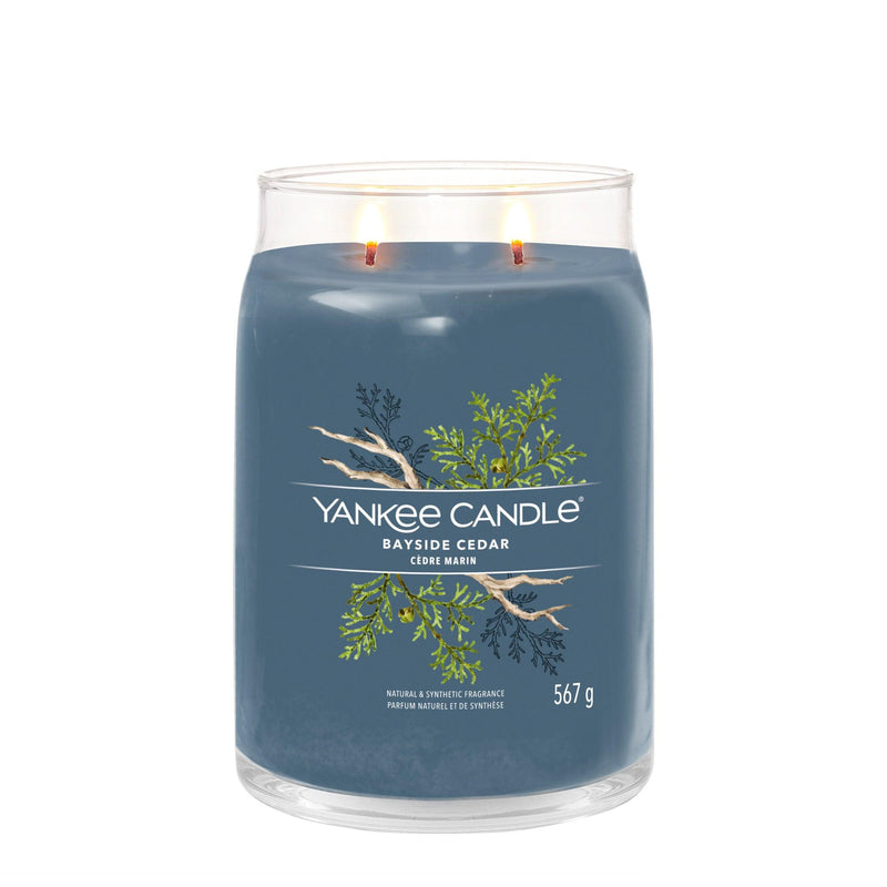 Candela Profumata Bayside Cedar Yankee Candle