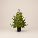 EDG Enzo De Gasperi | Albero di Natale Pino Lucciole con Led H 90 cm.