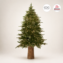 EDG Enzo De Gasperi | Albero di Natale Pino Spark con 7200 Led H 240 cm