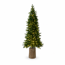 EDG Enzo De Gasperi | Albero di Natale Pino Slim con 610 LED H 240 cm