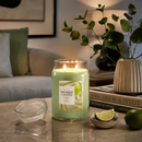 Yankee Candle | Candela Profumata Vanilla Lime