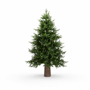 EDG Enzo De Gasperi | Albero di Natale Pino Luxury H 240 cm senza Led