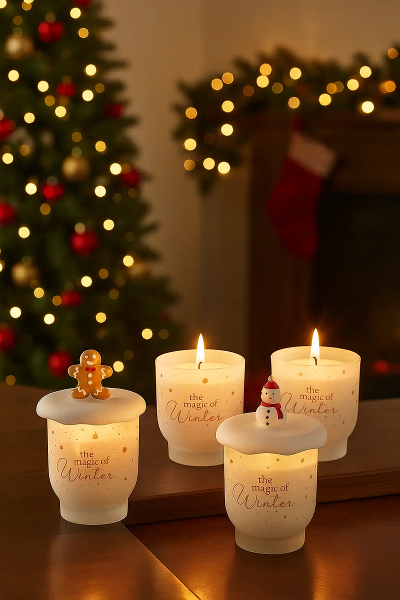 EDG Enzo de Gasperi | Candela profumata snowy in vetro Natale 2025