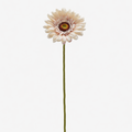 EDG Enzo De Gasperi | Gerbera Ramo 6 colori assortiti