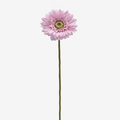 EDG Enzo De Gasperi | Gerbera Ramo 6 colori assortiti