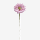 EDG Enzo De Gasperi | Gerbera Ramo 6 colori assortiti