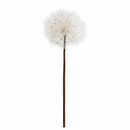 EDG Enzo De Gasperi Tarassaco Jumbo Artificiale Bianco H 70/90 cm