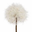 EDG Enzo De Gasperi Tarassaco Jumbo Artificiale Bianco H 70/90 cm