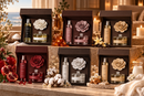 Muhà | Confezione Regalo Spray Ambiente + Diffusore con Rosa – 6 Fragranze