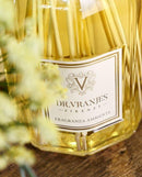 Diffusore Ambiente Chinotto Pepe Dr. Vranjes Firenze