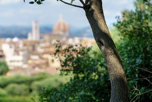 Diffusore Ambiente Giglio Di Firenze Dr. Vranjes Firenze
