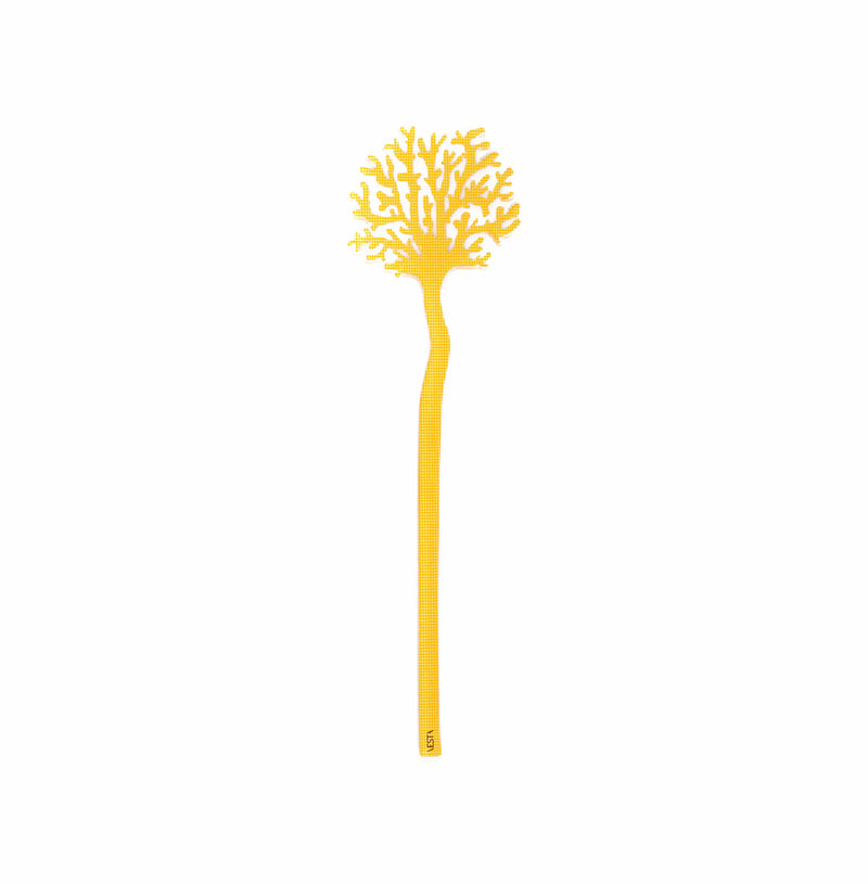 Corallo Del Mediterraneo