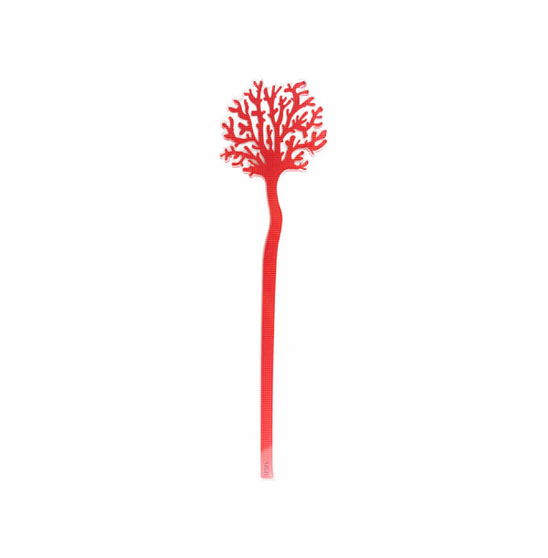 Corallo Del Mediterraneo rosso