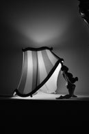 Lampada da Tavolo Collezione Circus  Seletti