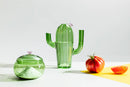 ichendorf milano contenitore cactus in vetro borosilicato ambientata